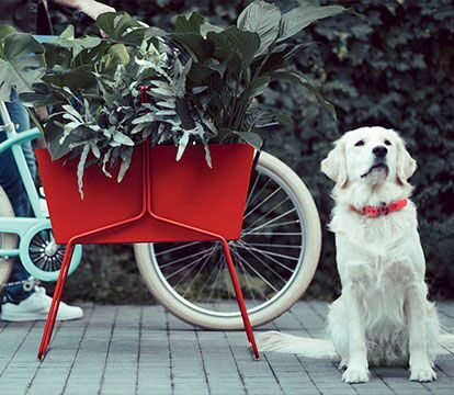 Коллекция "Basket"